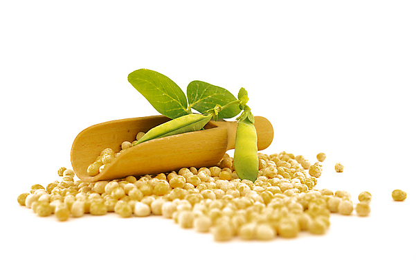 포토 JPG 해외이미지 식물 음식 백그라운드 농업 다이어트 채소 재료 건조 건강 병아리 요리 씨앗 사람없음 목재 갈색 노란색 식사 침묵 흰색 신선 닫기 상품 낟알 묘사 국자 유기농 완두콩 날것 흘림 흙더미 내추럴 고립 단백질 병아리콩 생식 채식주의자 비건 해외202008 해외포토 나무 웰빙 산업 컬러 모션 조류 주방용품 콩 소리 흙 채식 영양소 파일형식 더미