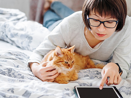 포토 JPG 해외이미지 동물 여자 감정 안경 얼굴 포유류 아침 주택 한명 반려동물 알약 스크린 고양이 침대 잡기 담요 모피 전자 솜털 생강 온라인 거짓말 취침시간 타격 해외202008 해외포토 주간 1 잡화 가구 채소 모션 사람 건물 신체부위 약 파일형식