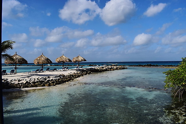 포토 JPG 해외이미지 나무 모래 바다 섬 여행 자연 하늘 휴가 손바닥 풍경 사람없음 야외 물 여름 파란색 야자수 맑음 흰색 휴양지 코코넛 카리브해 이국적 파라다이스 수평선 해외202008 해외포토 자연요소 식물 손 계절 컬러 과일 날씨 장소 생태계 파일형식