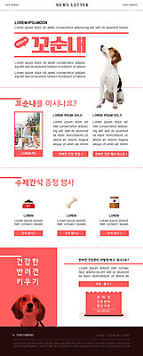 PSD 템플릿 여자 ZIP 반려견 분홍색 웹템플릿 디저트 건강 한명 사람 20대 성인 한국인 강아지 먹이 쿠폰 뉴스레터 개껌 반려 성인여자한명만 이미지템플릿 1 음식 컬러 동양인 청년 반려동물 개 여자한명만 성인여자만 파일형식