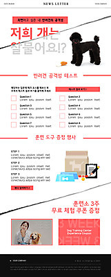 PSD 템플릿 여자 ZIP 반려견 분홍색 웹템플릿 한명 사람 성인 한국인 강아지 사건 목줄 뉴스레터 개밥그릇 반려 살 체크리스트 성인여자한명만 개물림 이미지템플릿 1 그릇 컬러 동양인 반려동물 개 애견용품 여자한명만 성인여자만 파일형식 반려용품