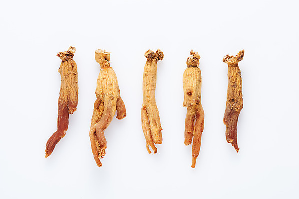 포토 JPG 스튜디오촬영 건조 실내 건강 사람없음 하이앵글 한의학 약재 흰배경 건강식품 면역력 홍삼 플랫레이 국내포토 음식 뷰포인트 백그라운드 의학 내부 약 흰색 삼 플랫 파일형식