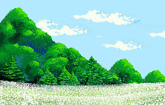 PSD 구름 꽃밭 일러스트 자연 하늘 산 풍경 사람없음 초록색 감성 메밀꽃 메밀밭 국내일러스트 자연요소 꽃 컬러 컨셉 밭 생태계 파일형식