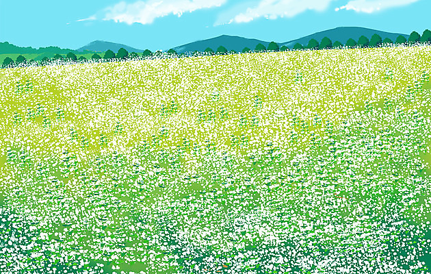 PSD 꽃밭 일러스트 자연 풍경 사람없음 연두색 감성 메밀꽃 메밀밭 국내일러스트 꽃 컨셉 밭 초록색 생태계 파일형식