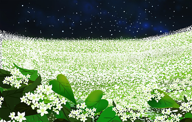 PSD 별 꽃밭 일러스트 자연 밤하늘 풍경 사람없음 야간 남색 감성 메밀꽃 메밀밭 국내일러스트 자연요소 꽃 컬러 컨셉 밭 하늘 생태계 파일형식