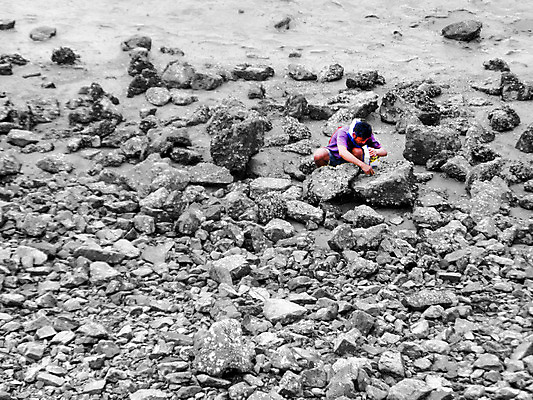 포토 JPG 해외이미지 캐릭터 라이프스타일 손 실루엣 문화 음식 바다 여행 백그라운드 태국 자연 하늘 노동자 그림자 서기 사람 풍경 성인 취미 사람없음 야외 물 여름 빛 바구니 걷기 일몰 회색 게 껍질 잡기 업무 저녁 가난 해산물 낚시꾼 지역 해외202008 해외포토 자연요소 직업 계절 아시아 컬러 컨셉 모션 촬영기법 갑각류 생활 신체부위 노을 작업 야간 생태계 파일형식