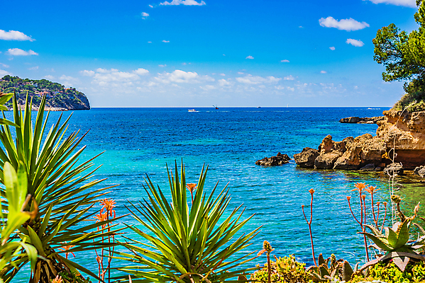포토 JPG 해외이미지 식물 유럽 바다 섬 여행 자연 하늘 휴가 휴식 풍경 사람없음 야외 물 여름 파란색 관광지 야자수 태양 맑음 전원 만 스페인 지중해 스페인어 열대기후 해외202008 해외포토 자연요소 나무 계절 나라 컬러 컨셉 날씨 전기에너지 생태계 파일형식