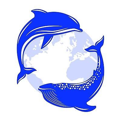 EPS 해외이미지 동물 디자인 지구 바다 일러스트 포유류 자연 물 세계 수중 수영 행성 플랫 심볼 고래 돌고래 대륙 그림 동물상 생태학 해외202008 해외일러스트 자연요소 교육 조형물 우주 수중동물 수상스포츠 생태계 파일형식 벡터