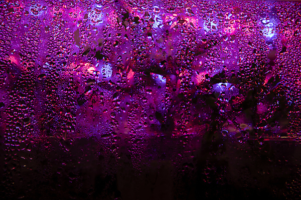 포토 JPG 해외이미지 식물 라이프스타일 손 계절 음식 백그라운드 컨셉 잎 농업 비즈니스 태국 자연 새로움 씨앗 사람없음 가로 빛 농장 건강관리 환경 보라색 봄 습기 성장 신선 잡기 시간 작음 땅 유기농 원예 먼지 모종 묘목 온실 세련 해외202008 해외포토 나무 웰빙 산업 아시아 컬러 모션 건강 관리 취미 생활 신체부위 크기 생태계 파일형식