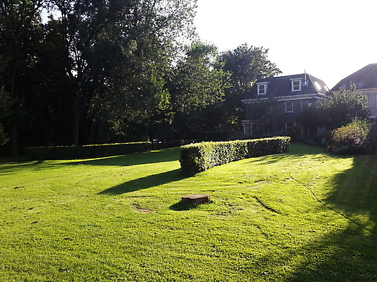 포토 JPG 해외이미지 음식 농업 비즈니스 건축양식 사람 사람없음 건물 반사 자전거 도시 시장 모서리 냄비 네덜란드 대학교 정사각형 광장 미로 지도책 포럼 해외202008 해외포토 도형 건축물 건축 유럽 산업 학교 책 바이크 솥 토론 파일형식