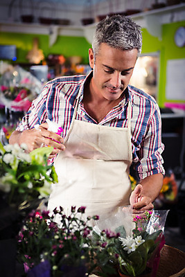 포토 JPG 해외이미지 백인 남자 꽃 한명 서기 미소 성인 물 30대 앞치마 다발 꽃집 성인남자한명만 해외202008 해외포토 자연요소 서양인 식물 1 모션 표정 사람 장년 상점 남자한명만 성인남자만 파일형식