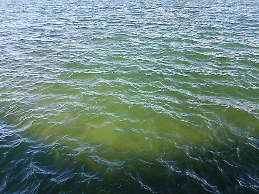 포토 JPG 해외이미지 호수 파도 바다 자연 사람없음 야외 초록색 물 파란색 연못 해외202008 해외포토 자연요소 컬러 생태계 파일형식