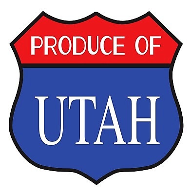 EPS 해외이미지 도로 일러스트 그래픽 미국 흰색 고속도로 사인 그림 방패 고립 루트 해외202008 해외일러스트 길 컬러 북아메리카 교통시설 파일형식 벡터