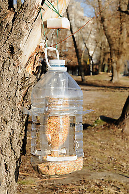 포토 JPG 해외이미지 나무 공원 야생동물 음식 겨울 자연 조류 날씨 옥수수 씨앗 사람없음 야외 목재 추위 숲 작음 먹이 플라스틱 밀 묘사 보리 나무껍질 고립 수수 수유 호밀 해외202008 해외포토 식물 동물 계절 공공시설 재료 재질 곡류 껍질 크기 생태계 파일형식