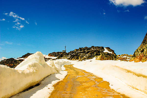 포토 JPG 해외이미지 나무 구름 공원 길 여행 백그라운드 캐나다 자국 자연 하늘 영국 산 파노라마 풍경 초원 사람없음 야외 목재 초록색 물 파란색 태양 평화 환경 계곡 미국 하이킹 안개 황무지 콜롬비아 숲 장면 갈기 내추럴 벤쿠버 뿌연 절정 해외202008 해외포토 자연요소 식물 공공시설 유럽 컬러 컨셉 북아메리카 재료 레저 날씨 촬영기법 남아메리카 생태계 파일형식