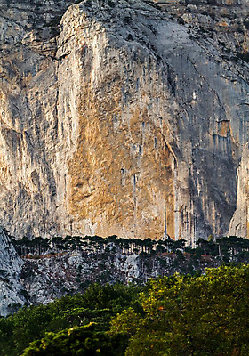 포토 JPG 해외이미지 나무 구름 라이프스타일 공원 여행 백그라운드 자연 날씨 산 풍경 사람없음 야외 초록색 빛 환경 봄 하이킹 소나무 저녁 숲 언덕 해외202008 해외포토 자연요소 식물 계절 공공시설 컬러 레저 생활 야간 생태계 파일형식