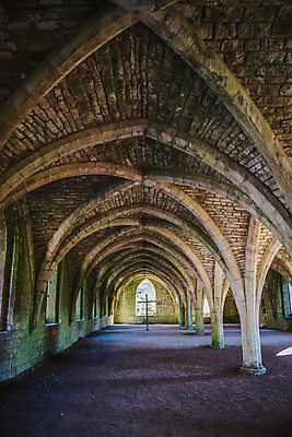 포토 JPG 해외이미지 나무 구름 꽃 여행 잎 밭 건축양식 가족 자연 하늘 잉글랜드 그림자 풍경 사람없음 야외 초록색 파란색 햇빛 태양 반사 갈색 평화 걷기 맑음 침묵 봄 가을 바위 흰색 시골 개울 그늘 요크셔테리어 질감 주말 북쪽 내추럴 수녀원 옛날 파멸 해외202008 해외포토 자연요소 식물 계절 건축 컬러 컨셉 농업 관계 모션 날씨 영국 강 소리 돌_바위 테리어 방향 생태계 파일형식 소멸