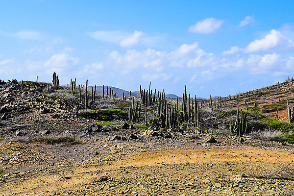 포토 JPG 해외이미지 공원 모래 파도 바다 섬 여행 백그라운드 자연 하늘 날씨 휴가 국립공원 풍경 사람없음 야외 물 여름 파란색 여행객 맑음 바위 동굴 내추럴 전국 해외202008 해외포토 자연요소 계절 공공시설 컬러 사람 돌_바위 생태계 파일형식