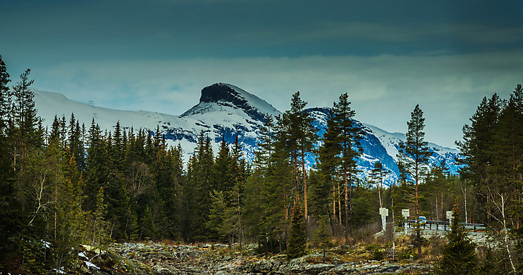 포토 JPG 해외이미지 유럽 여행 자연 산 주택 파노라마 노르웨이 풍경 잔디 사람없음 야외 건물 가로 여름 햇빛 맑음 침묵 전원 시골 정상 오두막 언덕 그림 빙하 커뮤니티 북쪽 산기슭 스칸디나비아 절정 해외202008 해외포토 식물 건축물 계절 나라 날씨 촬영기법 태양 소리 전기에너지 방향 생태계 파일형식