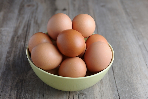 포토 JPG 해외이미지 스튜디오촬영 음식 재료 부활절 사람없음 가로 컬러풀 갈색 바구니 계란 치킨 신선 오픈 그룹 변화 닫기 둥지 볏짚 자르기 깃털 눈물 오브젝트 준비 생물학 A 모음 건강식 점심식사 깨짐 단백질 암탉 해외202008 해외포토 알파벳 교육 기념일 감정 컬러 컨셉 모션 실내 한글 알 식사 닭 짚 암컷 닭고기요리 영양소 파일형식