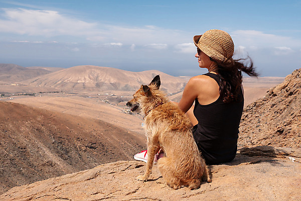 포토 JPG 해외이미지 동물 라이프스타일 여자 행복 포유류 청소년 자연 휴식 산 한명 사람 성인 야외 반려동물 자유 개 해외202008 해외포토 1 감정 컨셉 생활 생태계 파일형식
