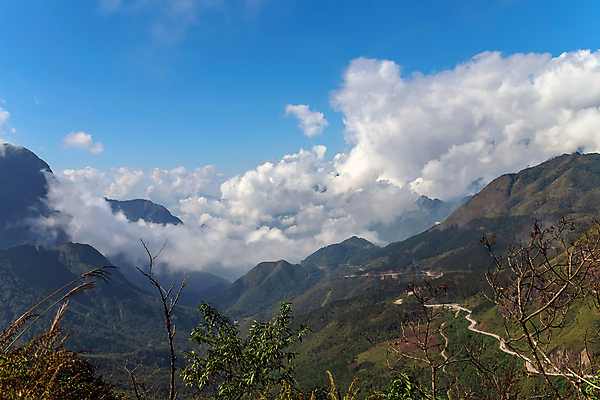 포토 JPG 해외이미지 나무 구름 실루엣 도로 여행 백그라운드 자연 하늘 산 파노라마 풍경 사람없음 야외 초록색 여름 파란색 일출 계곡 일몰 봄 하이킹 운전 안개 가을 고속도로 숲 아스팔트 땅 언덕 산등성이 알프스 절정 해외202008 해외포토 자연요소 식물 계절 유럽 길 컬러 교통시설 모션 레저 날씨 촬영기법 노을 생태계 파일형식