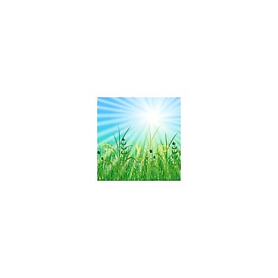 EPS 해외이미지 식물 계절 공원 백그라운드 밭 일러스트 자연 하늘 날씨 휴가 잔디 초원 야외 초록색 여름 태양 우주 경기장 봄 성장 신선 땅 에코 내추럴 블러 생태학 그리너리 해외202008 해외일러스트 자연요소 공공시설 교육 컬러 농업 스포츠시설 환경 생태계 파일형식 벡터 트랜드컬러 산업 스포츠 시설