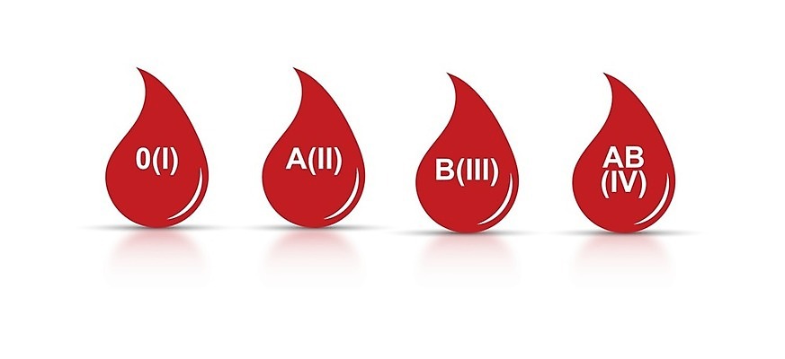 EPS 해외이미지 모양 템플릿 디자인 실루엣 컨셉 일러스트 아이디어 건강 그래픽 장식 빨간색 약 공백 긴급 혈액 비엔나 떨어짐 상처 디자이너 스케치 심볼 사인 그림 레이아웃 윤곽 손그림 엘리먼트 인수 헬프 스타일 해외202008 해외일러스트 직업 컬러 의학 촬영기법 미술 도움 오스트리아 파일형식 벡터