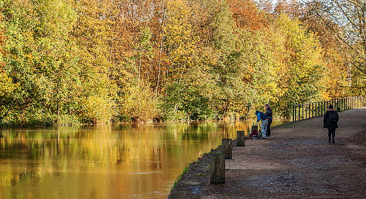 포토 JPG 해외이미지 단풍 사람없음 해외202008 해외포토 잎 파일형식