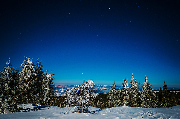 포토 JPG 해외이미지 나무 계절 별 과학 백그라운드 겨울 자연 하늘 휴가 불꽃 산 풍경 사람없음 파란색 우주 환경 검은색 어둠 꿈 안개 야간 숲 달빛 언덕 코스모스 서리 은하계 점성술 공상 마법 전나무 별빛 성운 내추럴 깊이 절정 가문비나무 해외202008 해외포토 자연요소 식물 꽃 컬러 불 날씨 빛 달 생태계 파일형식