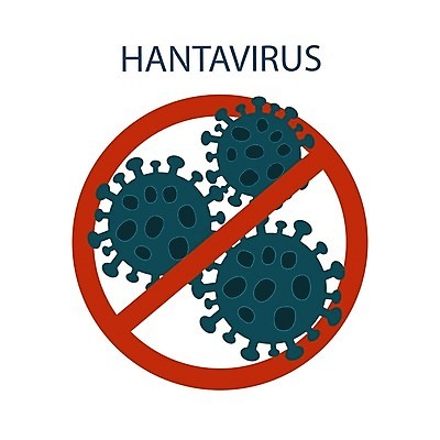 EPS 해외이미지 배너 컨셉 일러스트 해부 건강 병원 경고 사람 내부 약 건강관리 중국 고통 의사 열 오르간 바이러스 보호 질병 쥐 위험 분석 생물학 감염 박테리아 그만 돌봄 전염병 주목 해외202008 해외일러스트 교육 감정 아시아 의학 모션 관리 의료진 건반악기 설치류 파일형식 벡터
