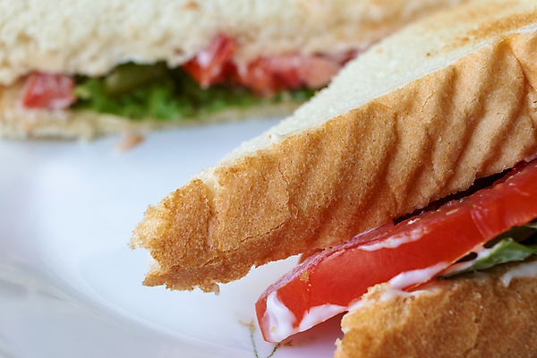 포토 JPG 해외이미지 접시 음식 빵 토마토 실내 샌드위치 사람없음 식사 껍질 횡단보도 모서리 상추 자르기 만취 묘사 토스트 점심식사 해외202008 해외포토 식기 채소 모션 내부 보행로 술취함 파일형식