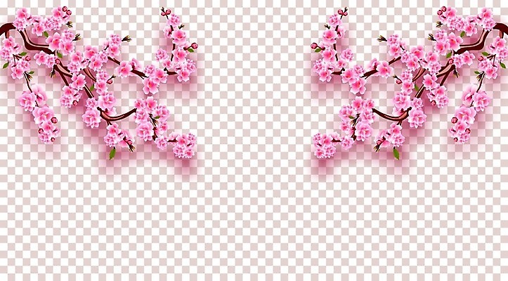 EPS 해외이미지 꽃잎 꽃 일러스트 사람없음 벚꽃 나뭇가지 해외202008 해외일러스트 나무 식물 파일형식 벡터