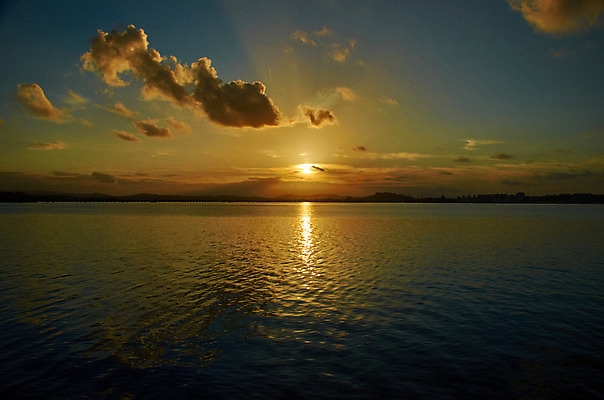 포토 JPG 해외이미지 구름 계절 모래 파도 바다 여행 백그라운드 오렌지 자연 하늘 풍경 사람없음 빨간색 물 여름 파란색 빛 햇빛 태양 노란색 일출 맑음 일몰 새벽 황금 저녁 장면 수평선 해외202008 해외포토 자연요소 컬러 과일 날씨 노을 야간 생태계 파일형식
