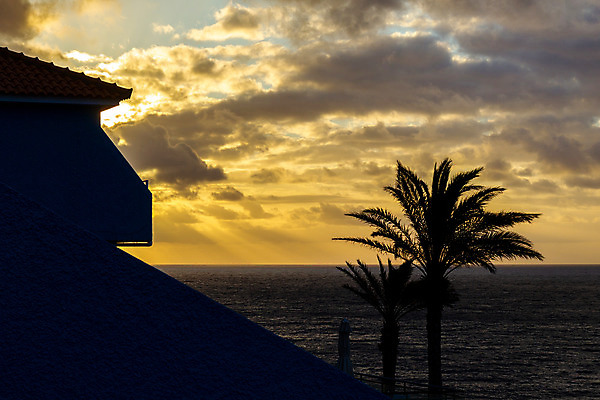 포토 JPG 해외이미지 나무 구름 실루엣 유럽 바다 분홍색 섬 여행 백그라운드 오렌지 자연 하늘 호텔 휴가 손바닥 풍경 사람없음 야외 빨간색 여름 빛 태양 노란색 일출 와인 일몰 새벽 광선 포르투갈 휴양지 파라다이스 해외202008 해외포토 자연요소 식물 손 계절 나라 컬러 과일 숙소 주류 촬영기법 노을 장소 생태계 파일형식