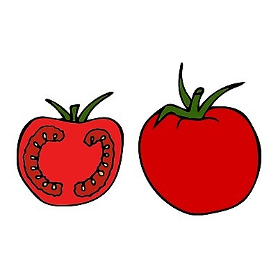 EPS 해외이미지 식물 디자인 음식 백그라운드 잎 토마토 채소 과일 일러스트 자연 건강 씨앗 빨간색 초록색 여름 세트 정원 식사 수확 흰색 신선 그룹 시장 낙서 만화 스케치 자르기 먹기 오브젝트 유기농 윤곽 비타민 내추럴 고립 채식주의자 비건 맛있는 해외202008 해외일러스트 웰빙 계절 컬러 농업 모션 미술 생태계 채식 영양소 파일형식 벡터