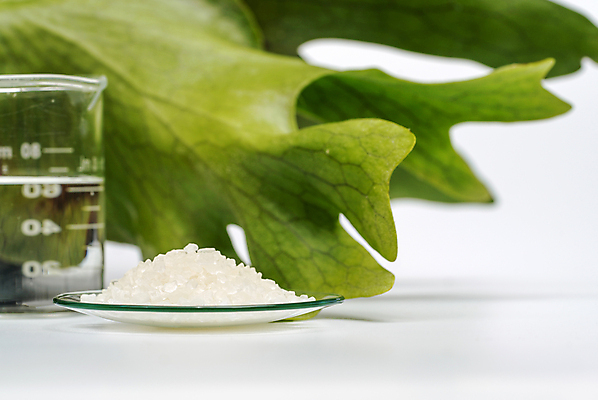 포토 JPG 해외이미지 식물 라이프스타일 백그라운드 잎 신체 재료 자연 유리 휴식 건강 사람없음 치료 초록색 세트 위생용품 약 스파 목욕 화장품 흰색 신선 마사지 액체 고급 씻기 기름 상품 크리스탈 허브 피부 오브젝트 유기농 아로마 소금 테라피 내추럴 돌봄 위생관리 화학물질 해외202008 해외포토 웰빙 음식 컬러 생활용품 컨셉 의학 모션 재질 관리 생활 신체부위 뷰티 청결 화학 광석 생태계 파일형식