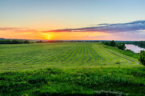 포토 JPG 해외이미지 나무 식물 동물 구름 선 백그라운드 밭 농업 자연 아침 풍경 초원 사람없음 야외 초록색 여름 파란색 강 햇빛 농장 농경지 일출 환경 맑음 일몰 봄 새벽 성장 시골 저녁 먹이 땅 유기농 장면 밭일 수평선 세련 해외202008 해외포토 주간 자연요소 웰빙 계절 산업 컬러 날씨 태양 노을 야간 생태계 파일형식