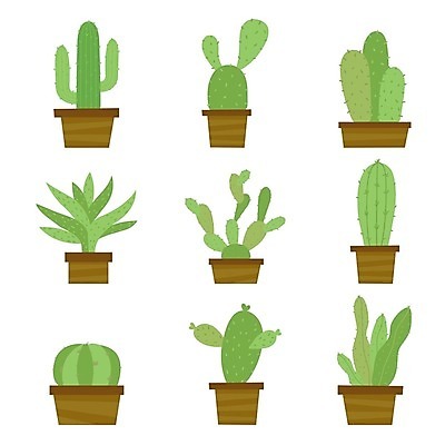 EPS 해외이미지 화분 일러스트 선인장 사람없음 초록색 세트 해외202008 해외일러스트 식물 컬러 파일형식 벡터