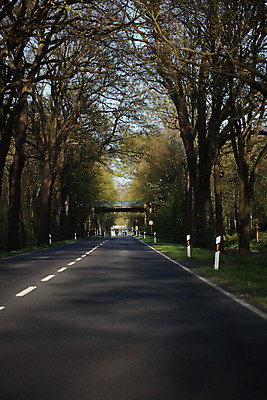 포토 JPG 해외이미지 구름 라이프스타일 응시 남자 행복 도로 스포츠 여행 포즈 비즈니스 창문 교통시설 모션 자동차 자연 하늘 실내 관리 안전 사람 앉기 성인 사람없음 야외 선글라스 태양 일출 일몰 운전 자유 판넬 바퀴 고속도로 운전사 땅 속도 추적 자동 해외202008 해외포토 자연요소 직업 시선 감정 안경 길 육상교통 교통 컨셉 내부 생활 노을 시설 생태계 파일형식