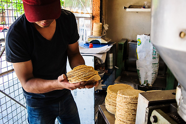 포토 JPG 해외이미지 전통 종이 문화 음식 채소 재료 자연 멕시코 건조 건강 옥수수 씨앗 한명 농작물 노란색 식사 저녁식사 흰색 신선 뜨거움 원형 황금 플러그 맛 상품 낟알 시리얼 유기농 질감 알맹이 반죽 밀가루 타코 내추럴 방앗간 고립 영양분 해외202008 해외포토 도형 식물 1 웰빙 컬러 컨셉 북아메리카 농업 곡류 사람 가루 생태계 파일형식