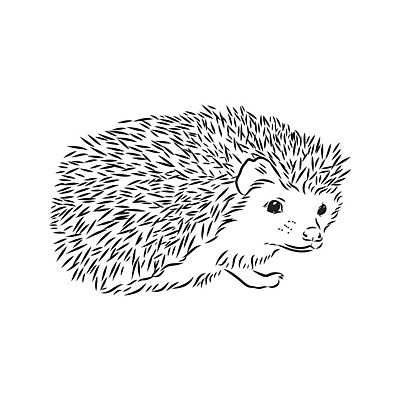 포토 JPG 해외이미지 동물 아이콘 손 디자인 실루엣 야생동물 백그라운드 일러스트 포유류 자연 추상 흑백 동물원 미술 사람없음 야외 그래픽 반려동물 장난감 연필 펜 검은색 흰색 거친 가시 우아함 낙서 숲 작음 만화 스케치 그림 날카로움 윤곽 판화 주둥이 스파이크 찌르기 고립 진짜 스타일 현실 해외202008 해외포토 컬러 컨셉 무늬 모션 문화예술 학용품 촬영기법 신체부위 필기구 크기 생태계 파일형식