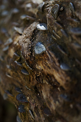 포토 JPG 해외이미지 나무 구름 공원 돈 밭 자연 추상 휴가 영국 잉글랜드 이끼 사람없음 여름 파란색 태양 농장 걷기 믿음 동전 하이킹 시골 농부 요크셔테리어 방향 사인 나무껍질 옛날 전국 해외202008 해외포토 자연요소 식물 직업 계절 공공시설 감정 유럽 컬러 무늬 농업 모션 레저 껍질 재산 테리어 생태계 파일형식