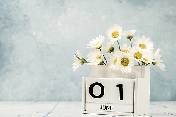 포토 JPG 해외이미지 식물 템플릿 1 계절 꽃 꽃다발 백그라운드 컨셉 탁자 사람없음 목재 숫자 노란색 다이어리 보라색 블록 수확 달력 흰색 시간 날짜 계획 6월 연도 큐브 오브젝트 질감 복고 데이지 내추럴 월 옛날 오늘 조언 카피스페이스 해외202008 해외포토 나무 문자 컬러 가구 농업 재료 사무용품 공백 파일형식
