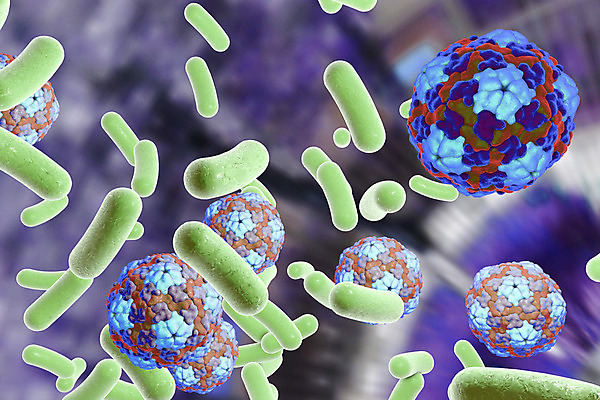 포토 JPG 해외이미지 모양 과학 백그라운드 일러스트 세포 건강 현미경 사람 사람없음 물 파란색 컬러풀 약 3D 고통 열 바이러스 닫기 질병 공격 생물학 싸움 감염 미생물 박테리아 전염병 해외202008 해외포토 자연요소 교육 감정 컬러 의학 모션 생물 실험기구 디지털합성 파일형식