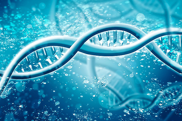 포토 JPG 해외이미지 줄기 과학 백그라운드 컨셉 패턴 추상 세포 나선형 건강 실험 사람 사람없음 파란색 약 정보 바이러스 DNA 생명공학 약국 생물학 만들기 원자 염색체 공학 더블 바이오 복제 신맛 화학물질 해외202008 해외포토 식물 교육 컬러 무늬 의학 모션 화학 맛 파일형식
