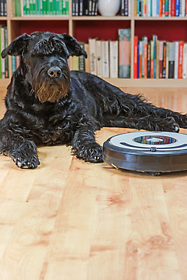 포토 JPG 해외이미지 백그라운드 컨셉 가사 가정 모션 바닥 주택 사람없음 힘 기계 방 장비 공구 업무 원형 무선전화기 로봇 전자 먼지 멀리 청소부 자동 제어 합판 해외202008 해외포토 도형 직업 건물 도구 작업 전화기 파일형식