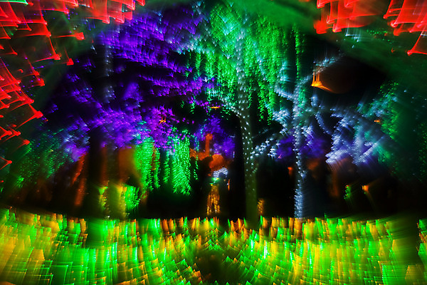 포토 JPG 해외이미지 나무 계절 여행 백그라운드 잎 크리스마스 자연 하늘 추상 휴가 조명 풍경 사람없음 야외 목재 가로 초록색 여름 빛 환경 침묵 놀람 봄 낭만 숲 신비 땅 즐거움 보케 공상 마법 블러 웅장함 환상 카피스페이스 해외202008 해외포토 식물 기념일 감정 컬러 컨셉 무늬 재료 표정 소리 공백 생태계 파일형식