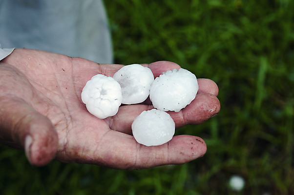 포토 JPG 해외이미지 손 공원 자연 날씨 풍경 사람없음 야외 물 빛 냉동 얼음 봄 젖음 추위 흰색 위험 큼 시원함 서리 장면 폭풍 북쪽 온도 나쁜 해외202008 해외포토 자연요소 계절 공공시설 컬러 컨셉 신체부위 크기 방향 생태계 파일형식