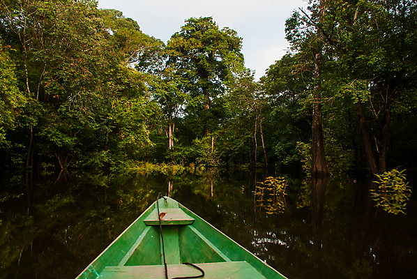 포토 JPG 해외이미지 나무 계절 공원 도로 길 여행 백그라운드 잎 자국 자연 풍경 사람없음 야외 목재 초록색 물 여름 빛 강 햇빛 태양 환경 미국 봄 탐험 가을 나뭇가지 시골 보트 숲 오솔길 브라질 잡동사니 남쪽 내추럴 아마존 해외202008 해외포토 자연요소 식물 공공시설 컬러 북아메리카 배_교통 재료 교통시설 남아메리카 방향 생태계 파일형식